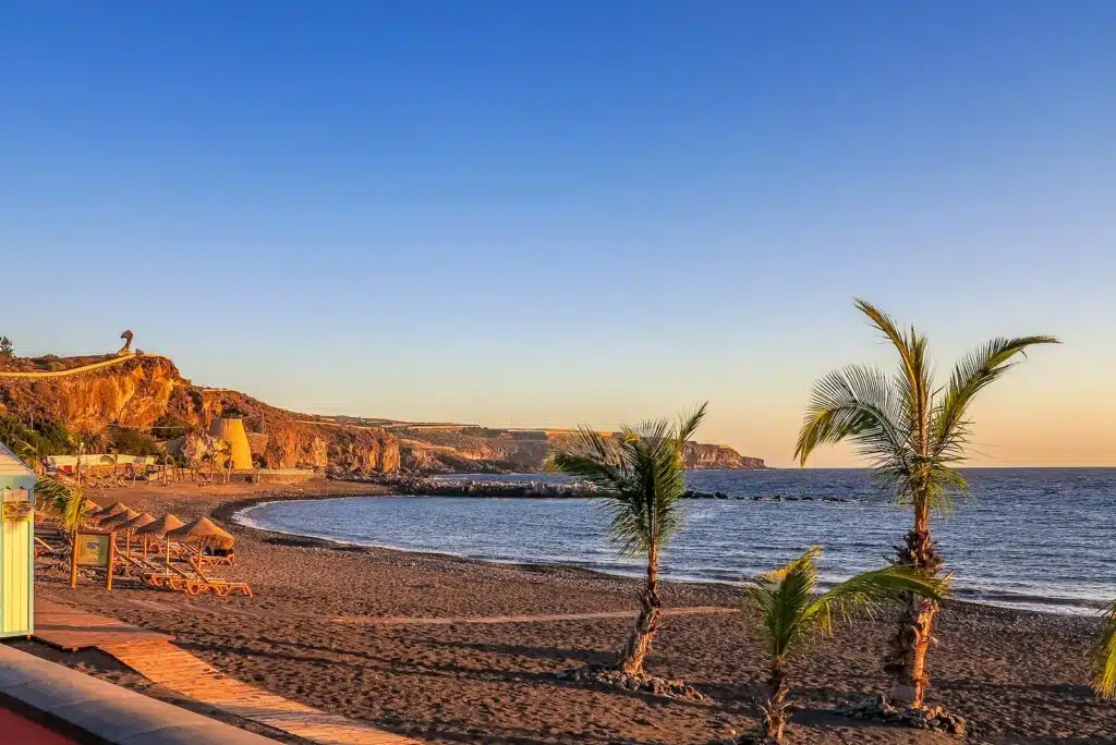 Photo by Andreas M landscape photography of coconut trees by the seashore during daytime